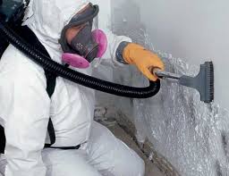 Best Comprehensive Air Testing for Mold Contaminants  in Canal Fulton, OH